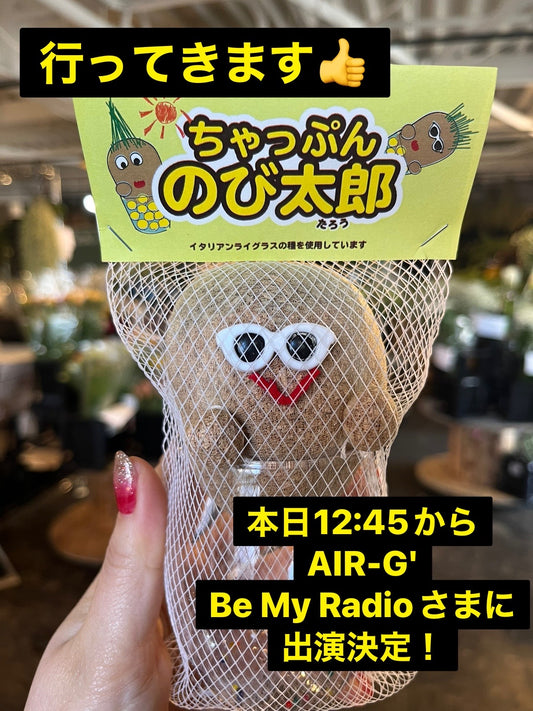 祝!ラジオ出演