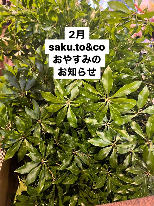 2月のお休みについて