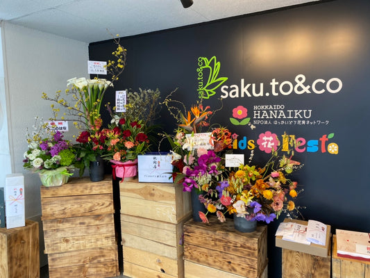 お待たせしました。saku.to&to サクトコ、Openです!