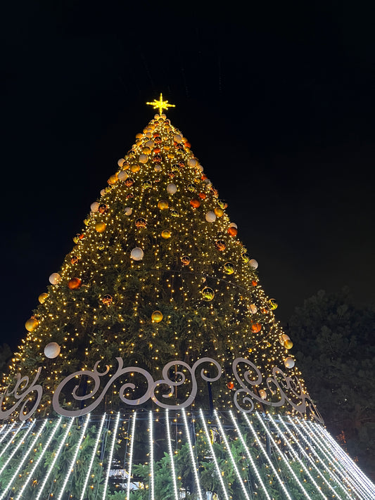 もうすぐクリスマスだけど店内はお正月準備モード